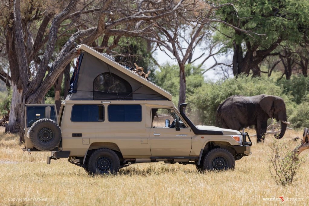 Elephants in Our Camp in Khwai, Botswana