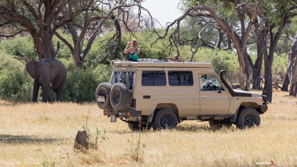 Sheri Game Viewing From the Sunroof in Khwai, Botswana