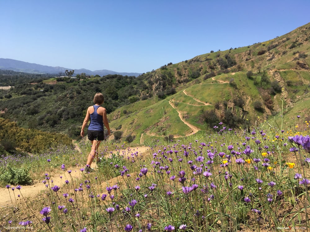 Surly Cross-Check Los Angeles and Southern California Dealer - Topanga  Creek Outpost