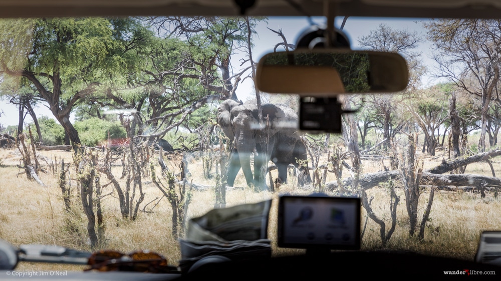 GoPro Hero 5 Black On Safari in Africa
