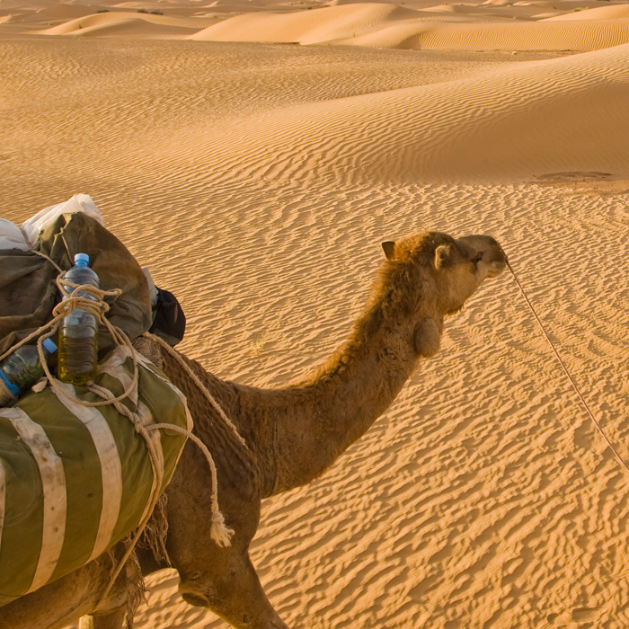 Chinguetti, Mauritania