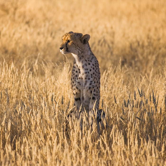 Kamanjab, Namibia