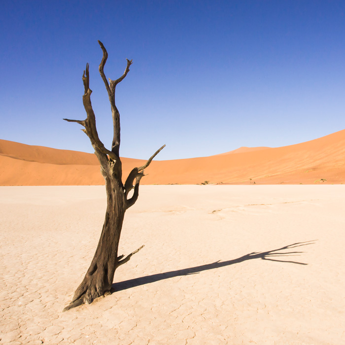 Deadvlei, Namibia