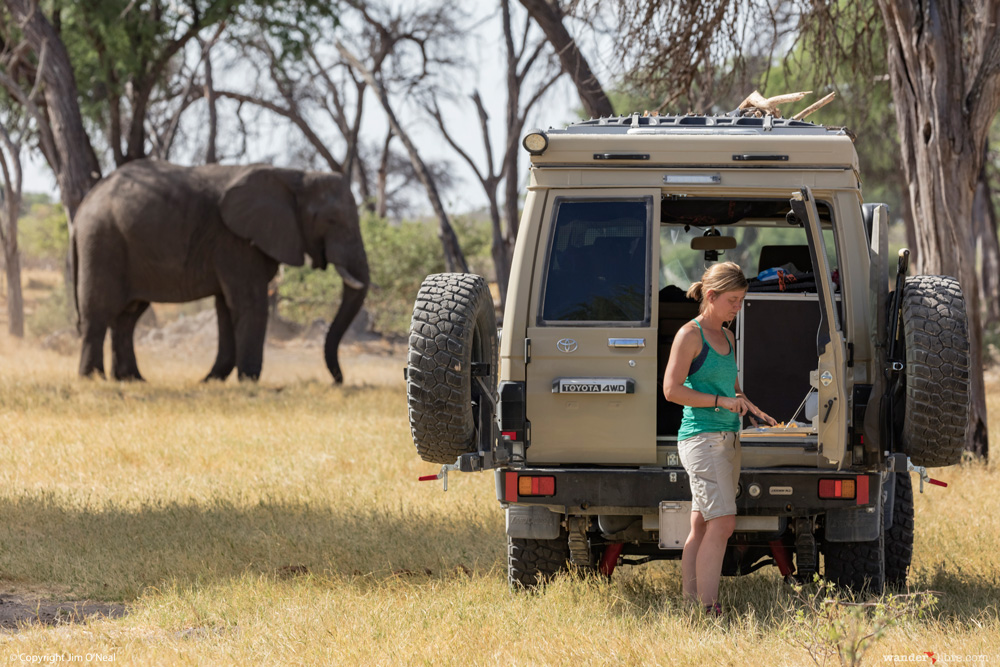 Story Behind the Photo: Camping with Elephants