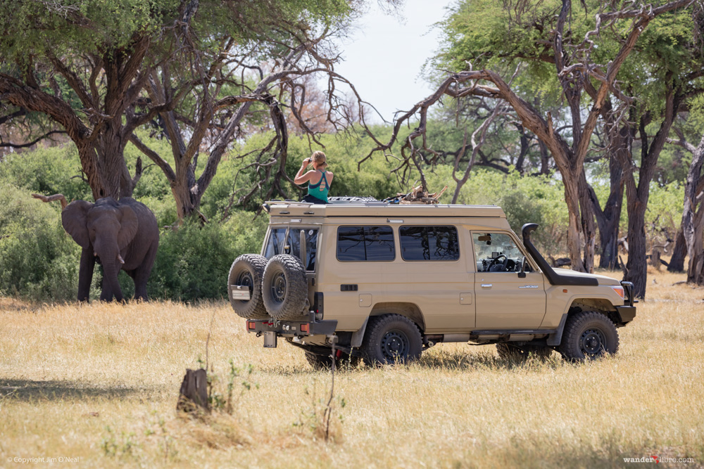 A photo of Sheri game viewing from our Land Cruiser Troopy, Maggie, while on safari in Khwai, Botswana.