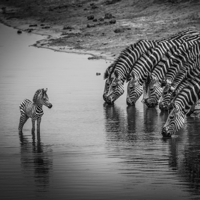 Mudumu Nat’l Park, Namibia