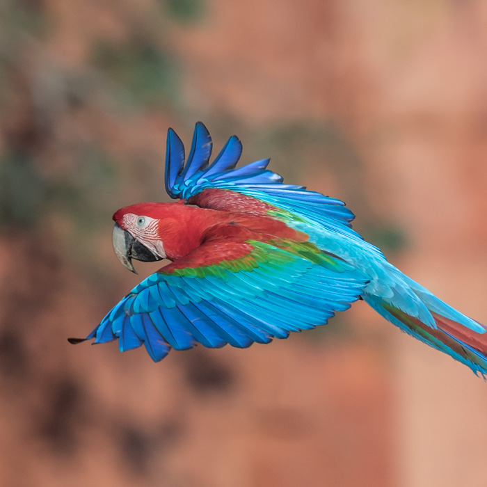 Buraco Das Araras, Brazil