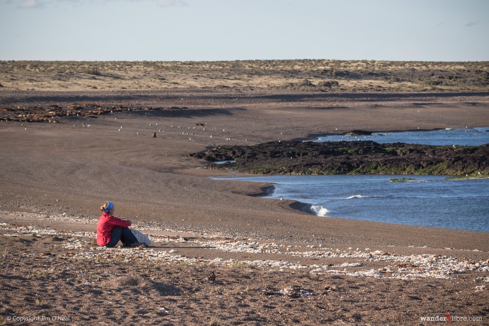 Sheri Observes Sea Lions in Remote Cabo Raso