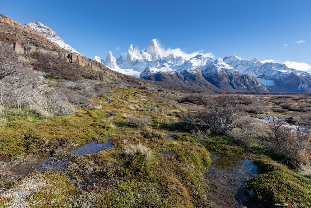 View of Mount Fitz Roy from the Valley