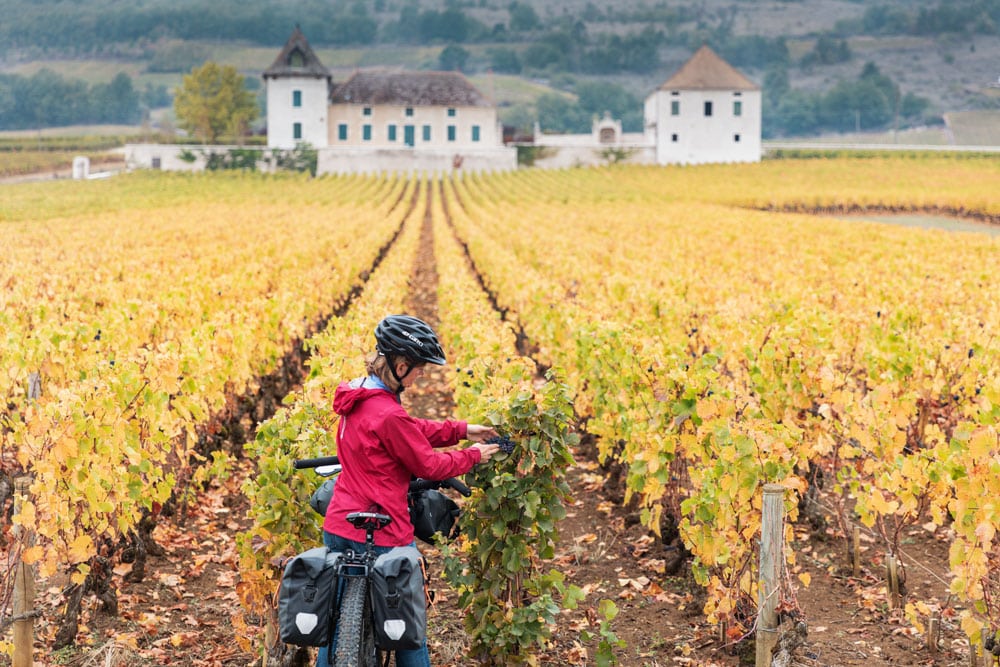A bike tour through Burgundy, France in Autumn with vineyards ablaze in orange fall foliage.